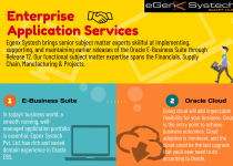 Enterprise Application Services @EgwnxSystech